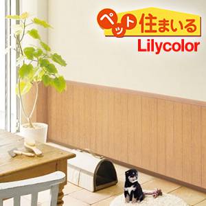 thumb_lilycolor_pet_300_300